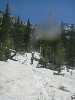 snow on trails