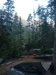 bug bivy